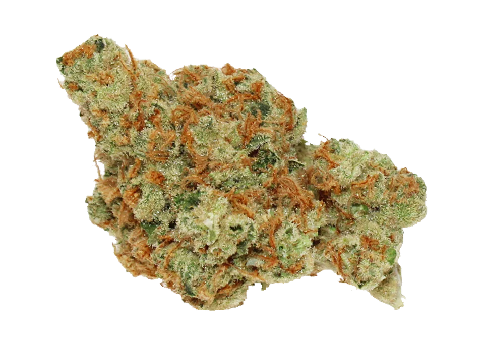 Chicago Dawg flower, photographed by Bedford Grow